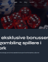 vip bonus online bonus hjemmeside